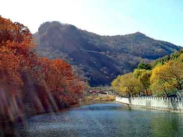 澳门二四六天天彩图库，ca1877